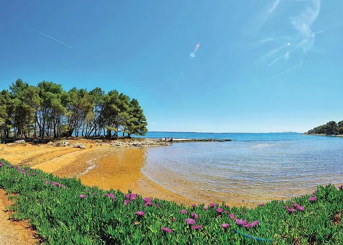 Schoenes Haus In - Cda400 Vir